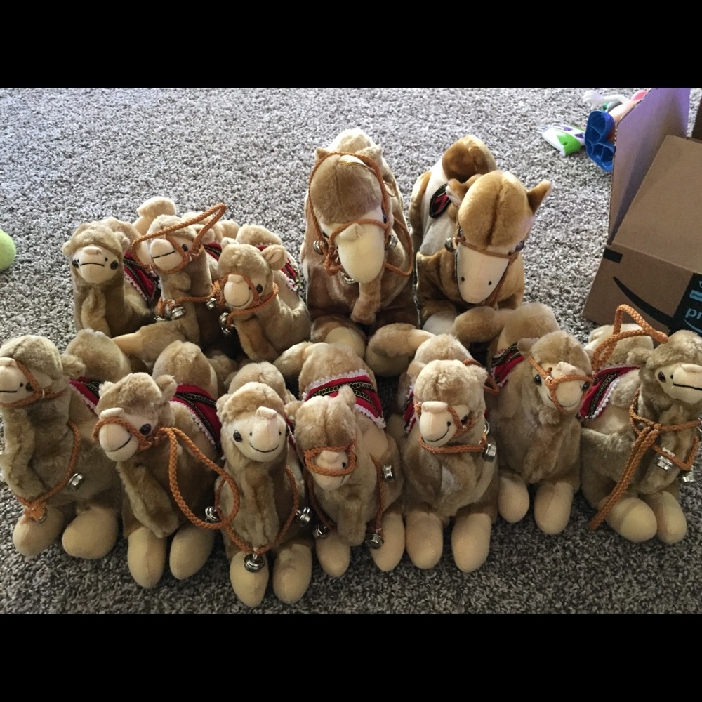 Bag of Camels